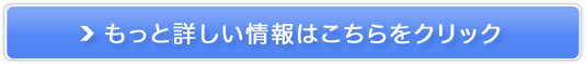 y20000ppmH2ouT[o[NEW WP-300z̔TCg
